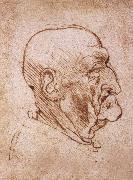 LEONARDO da Vinci Profile of an old man oil painting artist